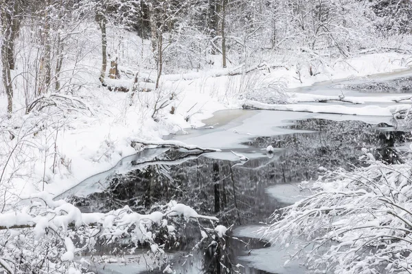 Paisaje Invernal Río Khikhniyoki República Karelia Rusia — Foto de Stock
