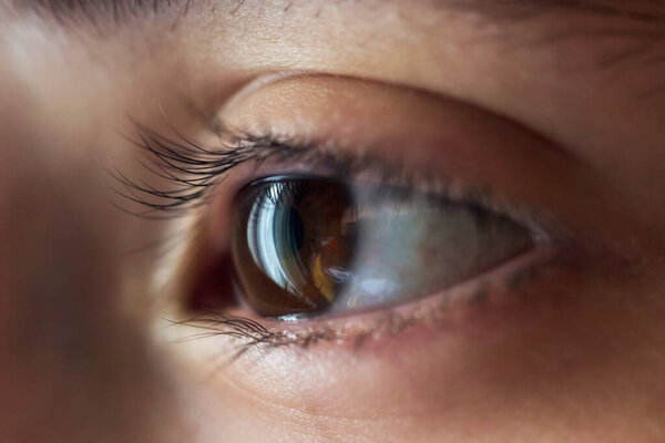 Macro photographed girl's eye. Stock photo.