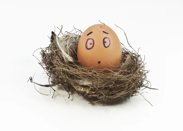 Ei im Nest — Stockfoto