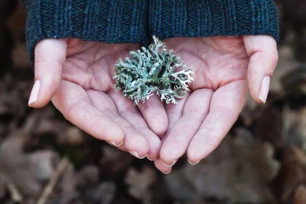 Älska naturen — Stockfoto