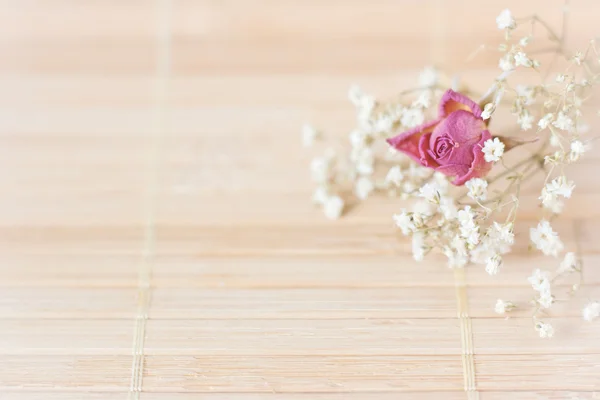 Bello sfondo morbido, piccoli fiori — Foto Stock