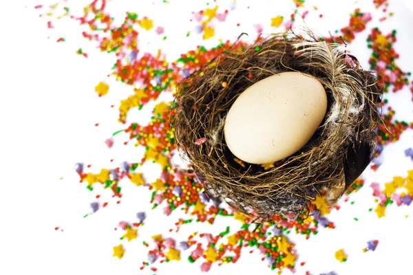Easter egg in the nest — Stock Photo, Image