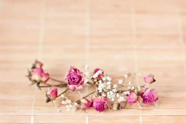 Bello sfondo morbido, piccoli fiori — Foto Stock