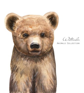 Suluboya bebek boz ayı. Hayvan Yavrusu çizimi.