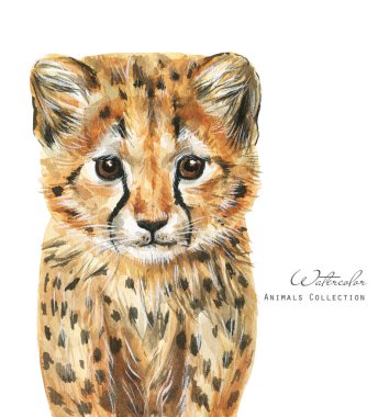 Suluboya bebek çita. Hayvan Yavrusu çizimi