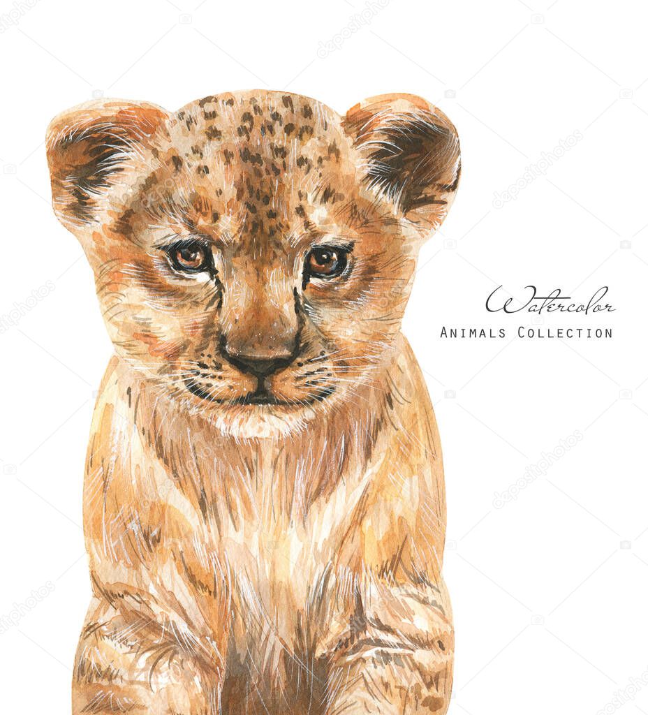 Watercolor baby lion. Animal cub illustration
