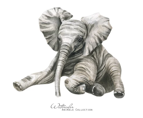 Elefantbebis Akvarell Elefantkalv Afrikanska Djur Illustration — Stockfoto