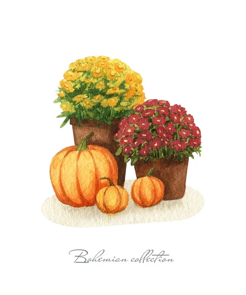 Watercolor Floral Autumn Decor Ogange Pumpkin Flowers Pot — Stock Photo, Image
