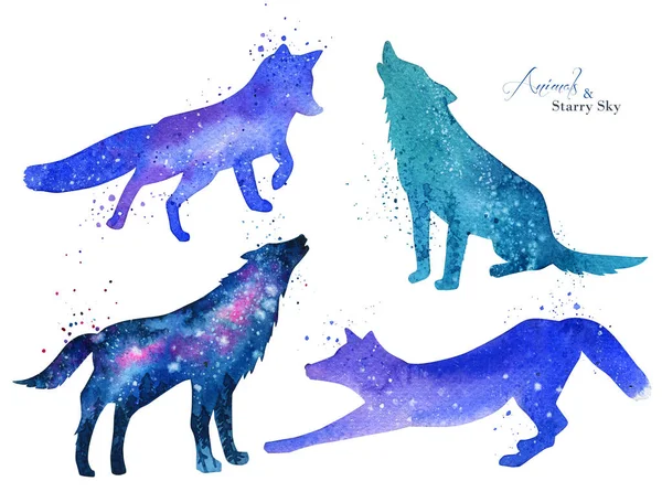 Watercolor Fox Wolf Silhouette Abstract Night Starry Sky Silhouette Background — Stockfoto