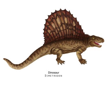 Kahverengi Dimetrodon çizimi. Yelkenli Dinozor, kahverengi armalı..