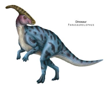 Parasaurolophus çizimi. Mavi dinozor, otobur ornitopod.