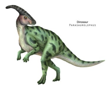 Parasaurolophus çizimi. Yeşil dinozor, otobur ornitopod.