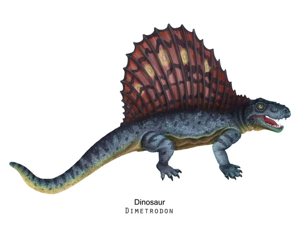 Blue Dimetrodon Illustration Sail Backed Dinosaur Brown Crest Back — Stock Fotó