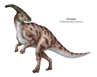 Parasaurolophus çizimi. Bej Dinozor, otçul ornitopod