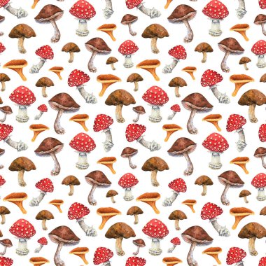 Watercolor mushrooms seamless pattern. Brown porcini, orange chanterelle, red amanita