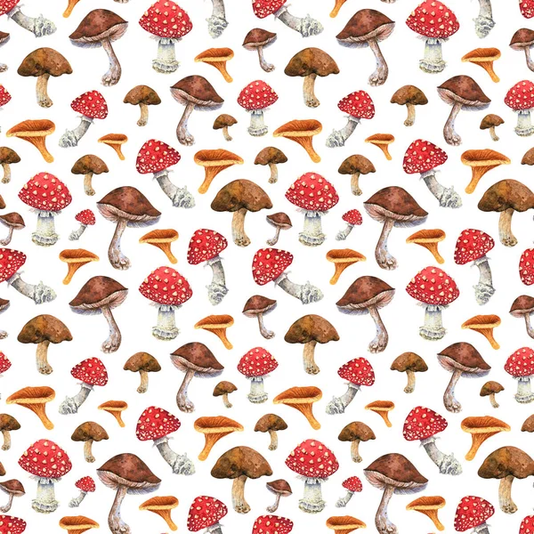 Watercolor Mushrooms Seamless Pattern Brown Porcini Orange Chanterelle Red Amanita — ストック写真