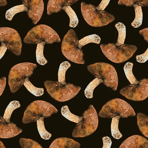 Watercolor Mushrooms Seamless Pattern Brown Porcini Background — Foto Stock