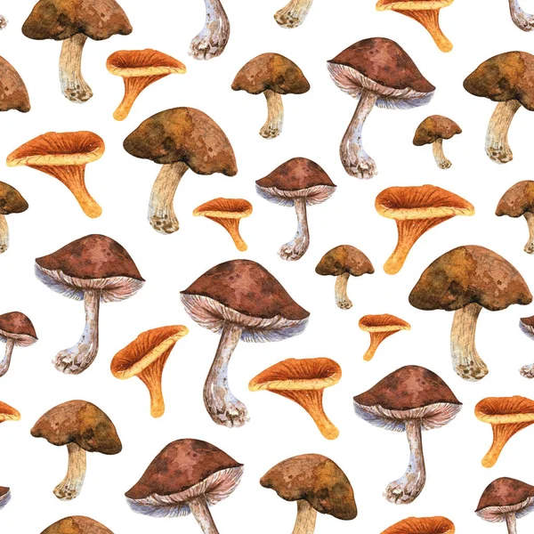 Watercolor Mushrooms Seamless Pattern Brown Porcini Orange Chanterelle — ストック写真