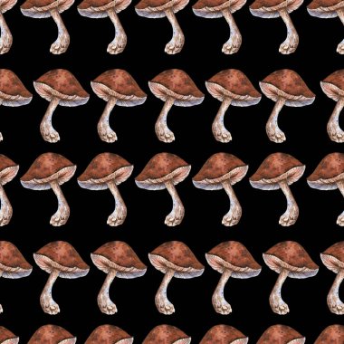 Watercolor mushrooms seamless pattern. Brown porcini background