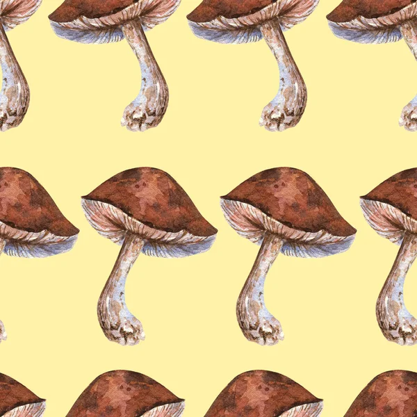 Watercolor Mushrooms Seamless Pattern Brown Porcini Background — Stockfoto