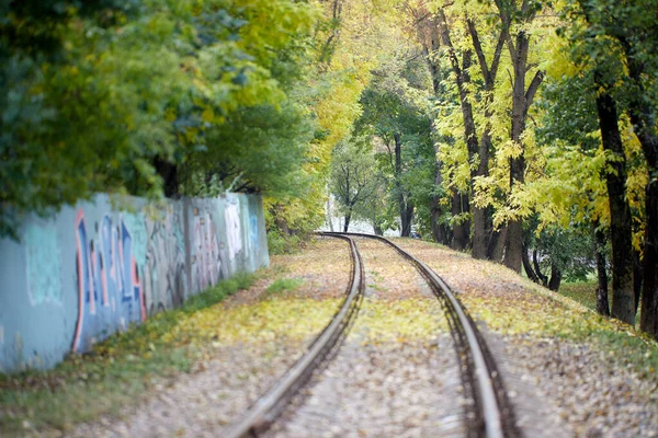 Рельсы Старого Праздного Поезда Лорен Осеннем Лесу — стоковое фото
