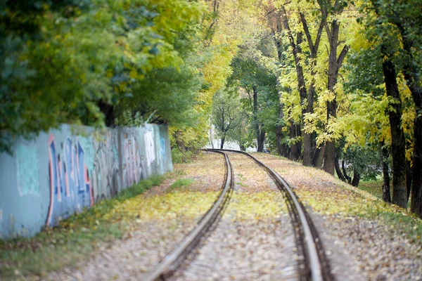 Carriles Para Viejo Tren Loren Ocioso Bosque Otoño —  Fotos de Stock