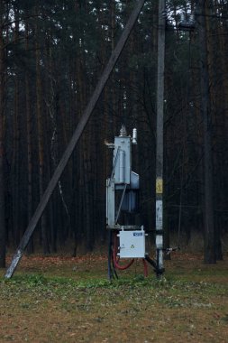 Transformatör elektrik direği beton çam ormanı çam ağacı ormanı çam ağacı ormanı el değmemiş ladin ormanı yüksek kontrast