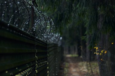 Dikenli tel örgülü uzun çitler, sonbahar yaprakları.