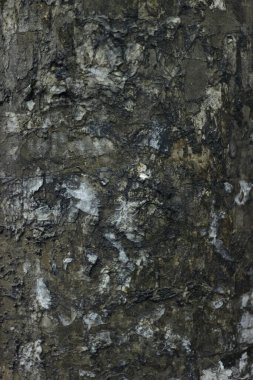 Klasik arka plan için eski gri beyaz ve kahverengi beton duvar dokusu