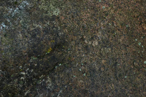 Старі Лісові Камені Покриті Мохом Тлі Опалого Осіннього Листя Соснових — стокове фото