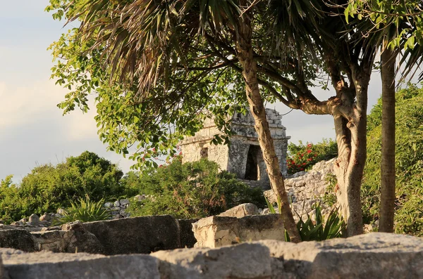 Μάγια ερείπια στην tulum, Μεξικό — Φωτογραφία Αρχείου