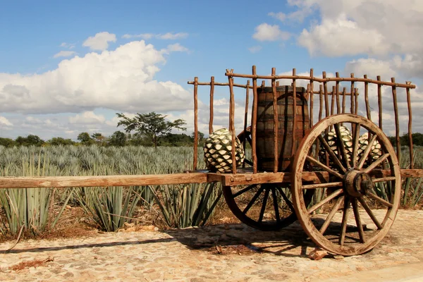 Ancienne remorque traditionnelle mexicaine — Photo