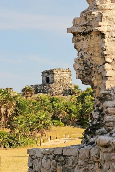 Μάγια ερείπια στην tulum, Μεξικό — Φωτογραφία Αρχείου