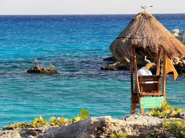 Lifeguard hut on mexican coast — Stock Photo, Image