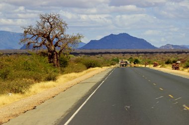 Afrika yol
