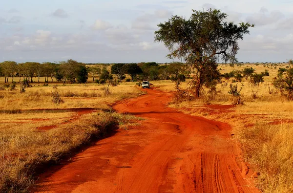 Strada polverosa safari nel parco nazionale di tsavo est, kenya — Foto Stock