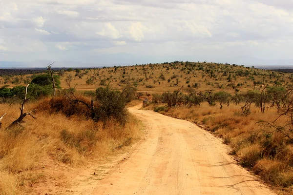 Dammiga safari road i tsavo east national park, kenya Stockbild