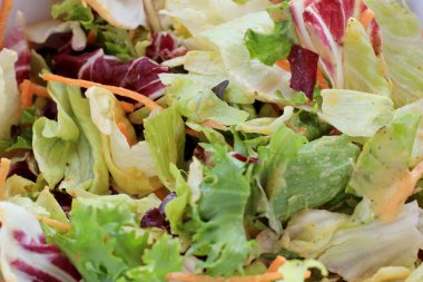 taze salata karışımı