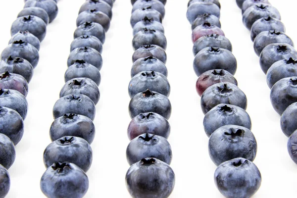 Fresh blueberries put in lines — Stock Photo, Image