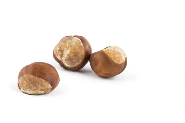 Three chestnuts isolated on white background — Stock Photo, Image