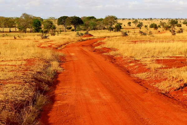 Ziemi czerwony droga zakurzonych safari w parku tsavo, Kenia — Zdjęcie stockowe