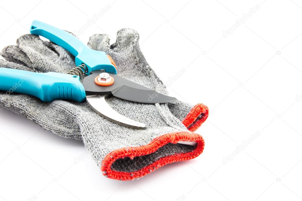 Pruning shears and gardening worn gloves