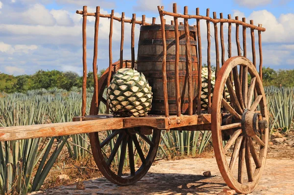 Antiguo remolque mexicano —  Fotos de Stock