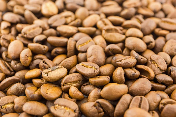 Roasted coffee beans — Stock Photo, Image