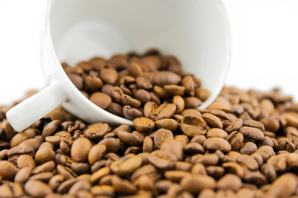 Cup filled with coffee beans — Stock Photo, Image