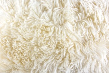 uzun saçları beyaz kürk arka plan