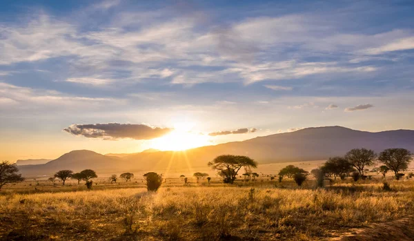 Savannah Ovalar Tsavo Doğu Milli Parkı Kenya Şaşırtıcı Günbatımı — Stok fotoğraf