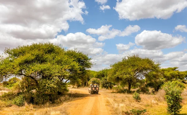Niesamowite Savannah Równiny Krajobraz Safari Road Kenii — Zdjęcie stockowe