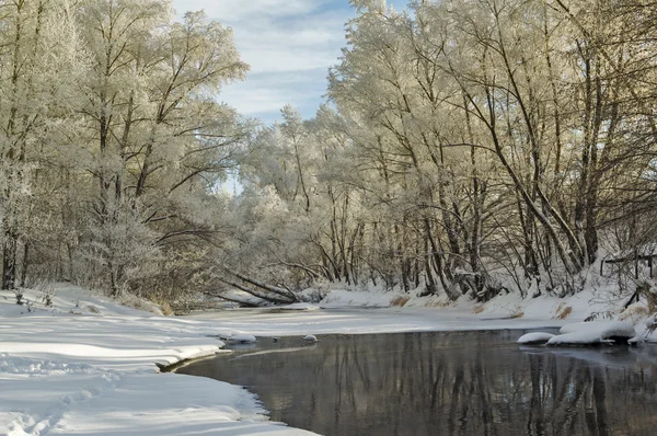 Flodlandskap på vintern — Stockfoto
