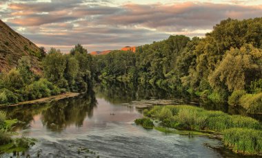 Река в лесу. river in wood